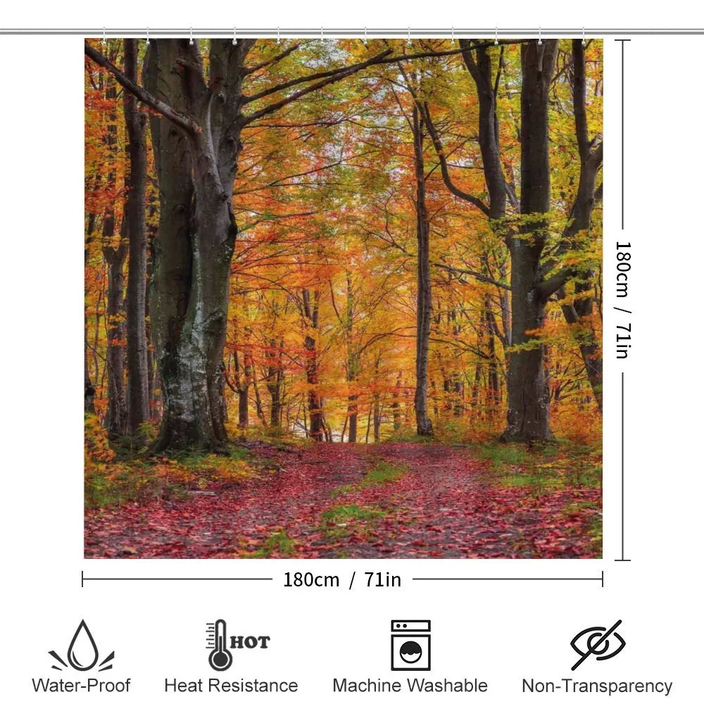 Shady Deciduous Trees — Detail 2