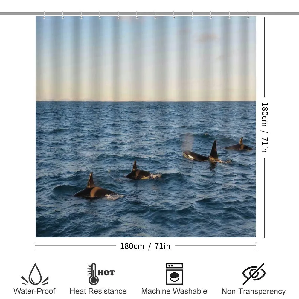 Whales in SeOcean — Detail 2