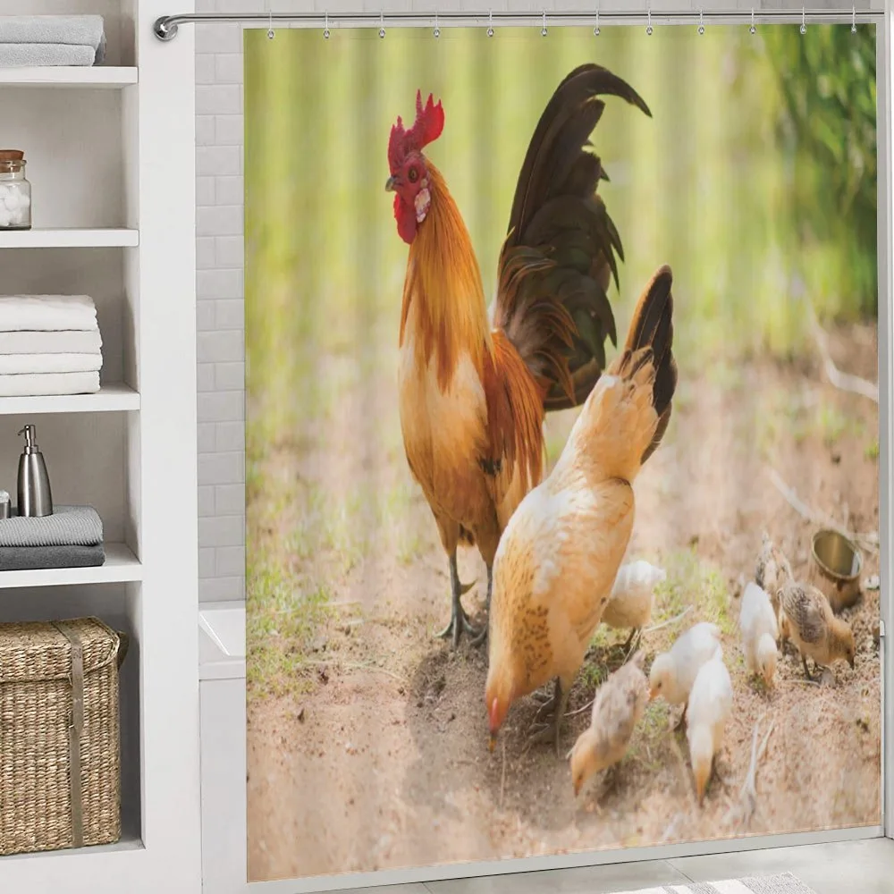 Chicken Family Photo — Detail 4