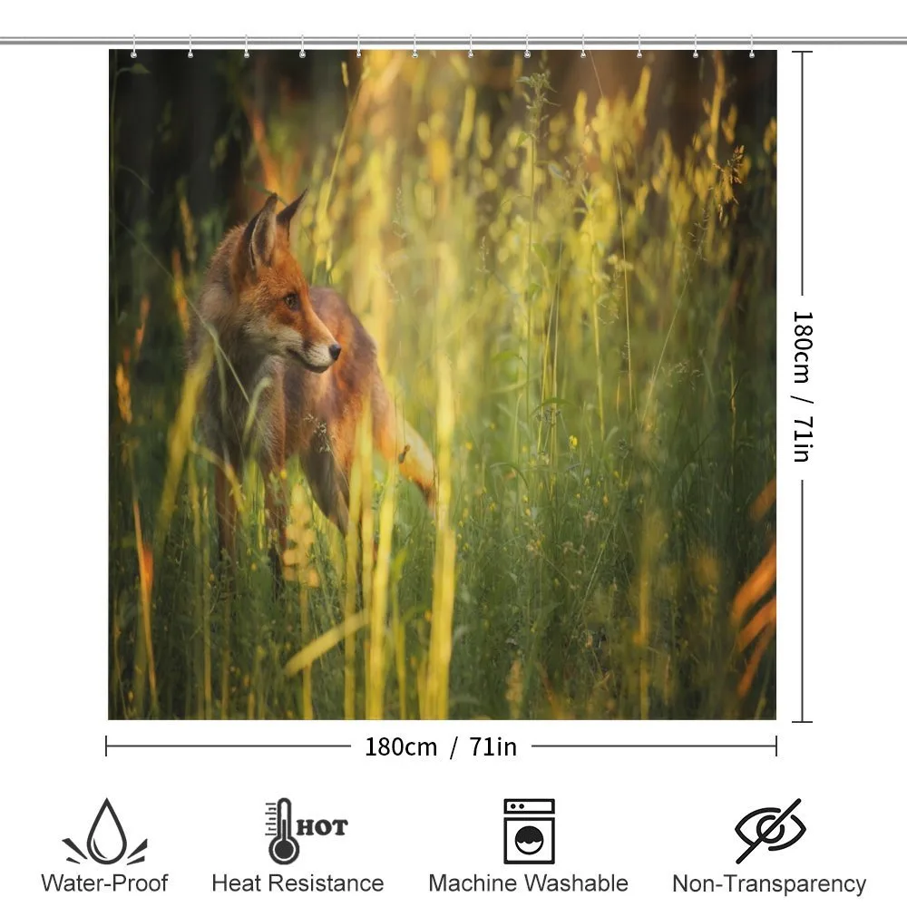 Vixen Mammal Summer Forest — Detail 2