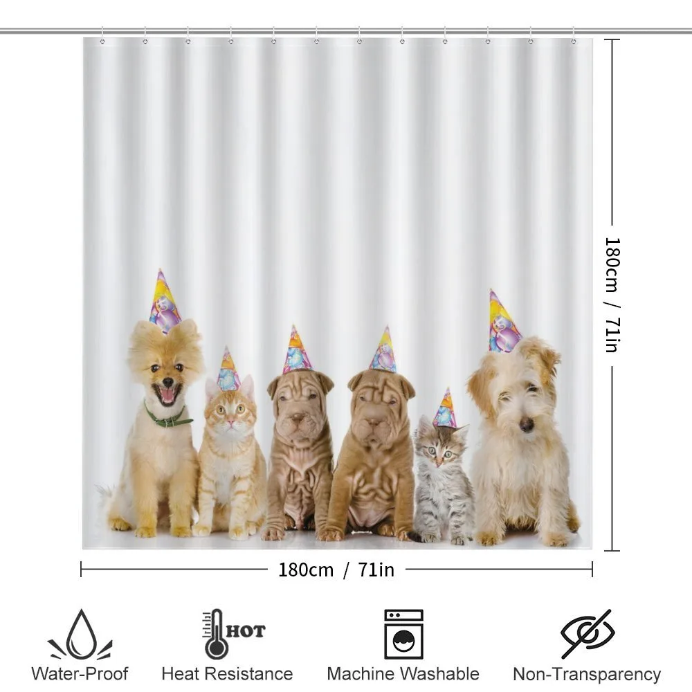 Dogs Cats at a Party — Detail 2