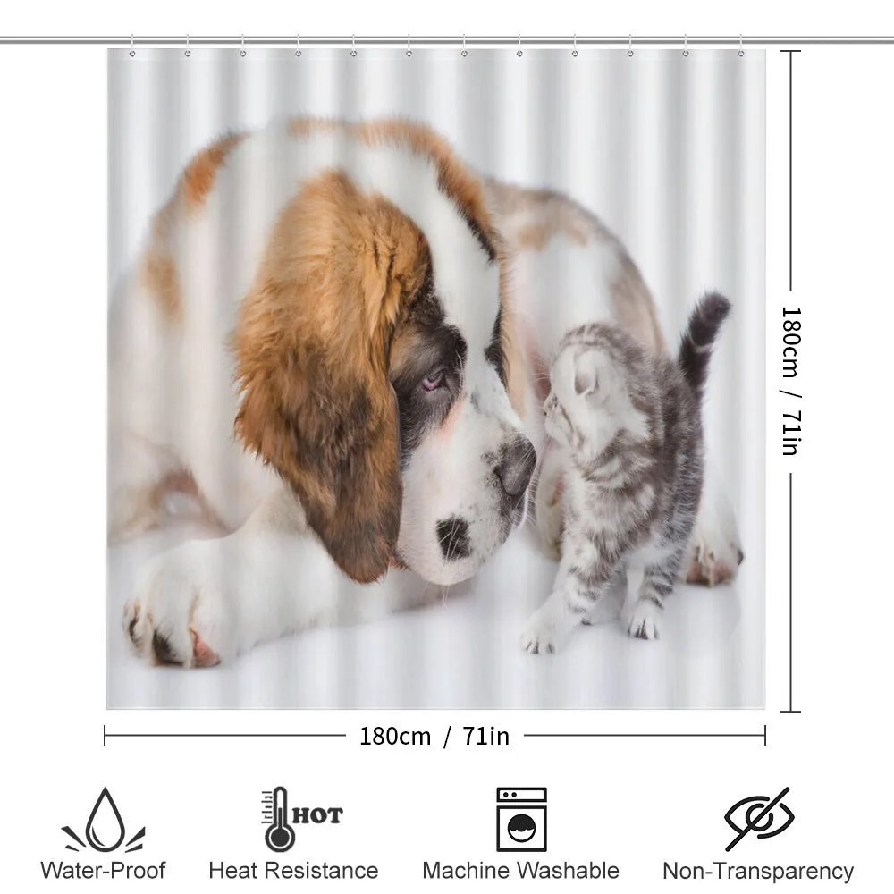 Sniffing Animals Photo — Detail 2