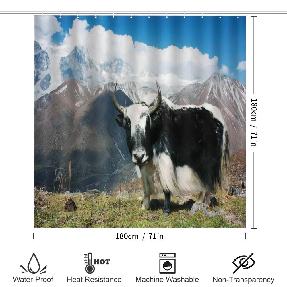 Bull Rural Mountains — Detail 2