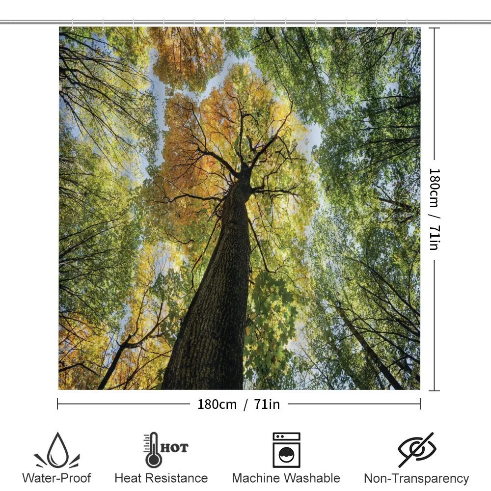 Forest Autumn Growth Eco — Detail 2
