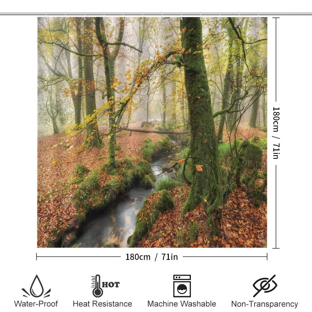 Misty Woods Cornwall — Detail 2