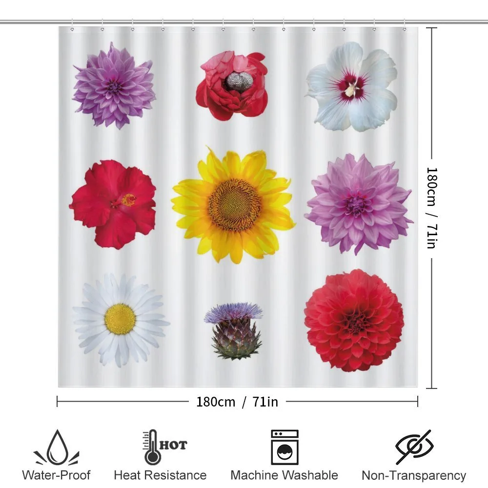 Various Type Petals Photo — Detail 2