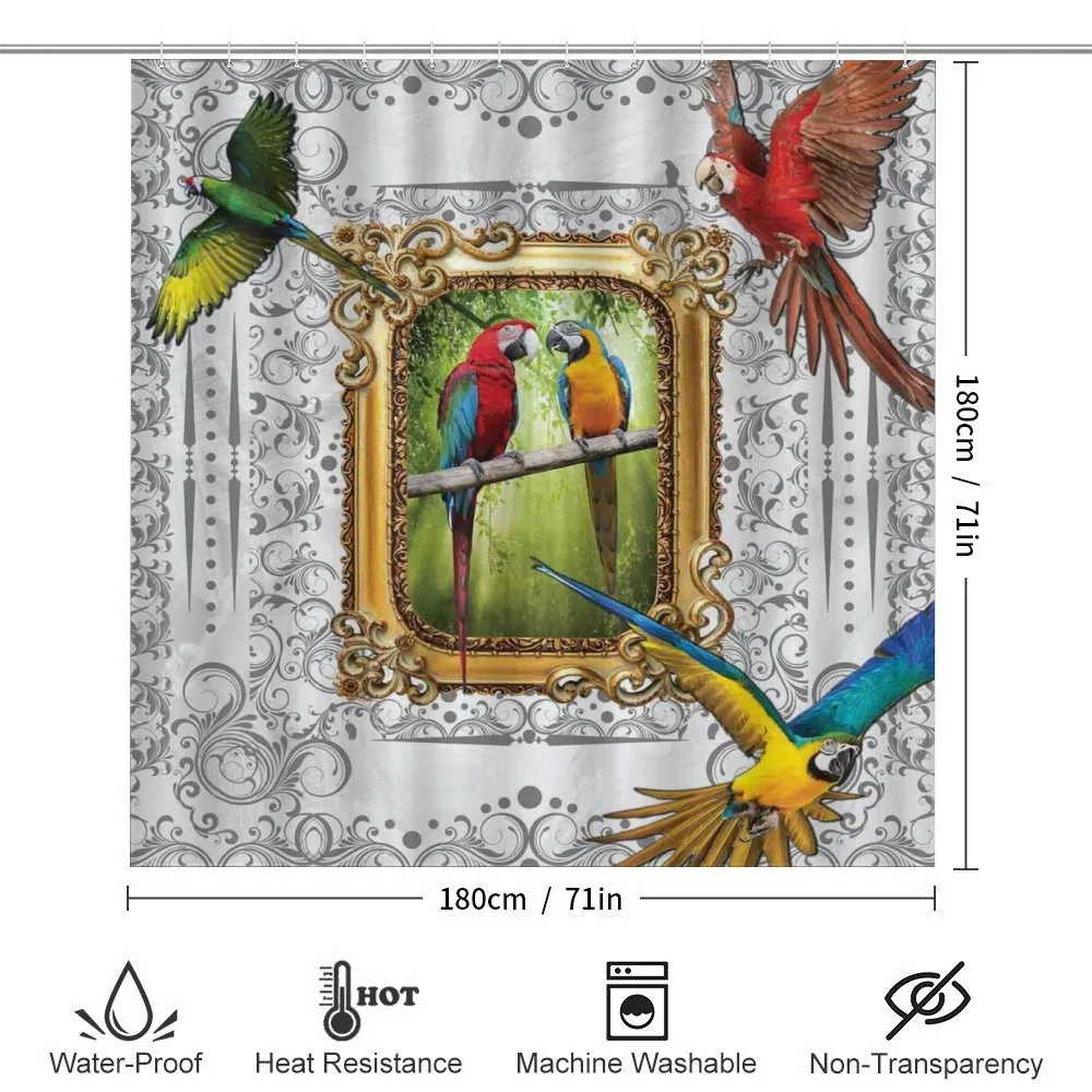 Exotic Colorful Birds Image — Detail 2