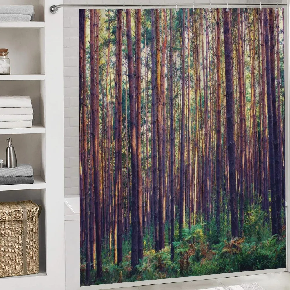 Fall Trees Forest Trunks — Detail 4