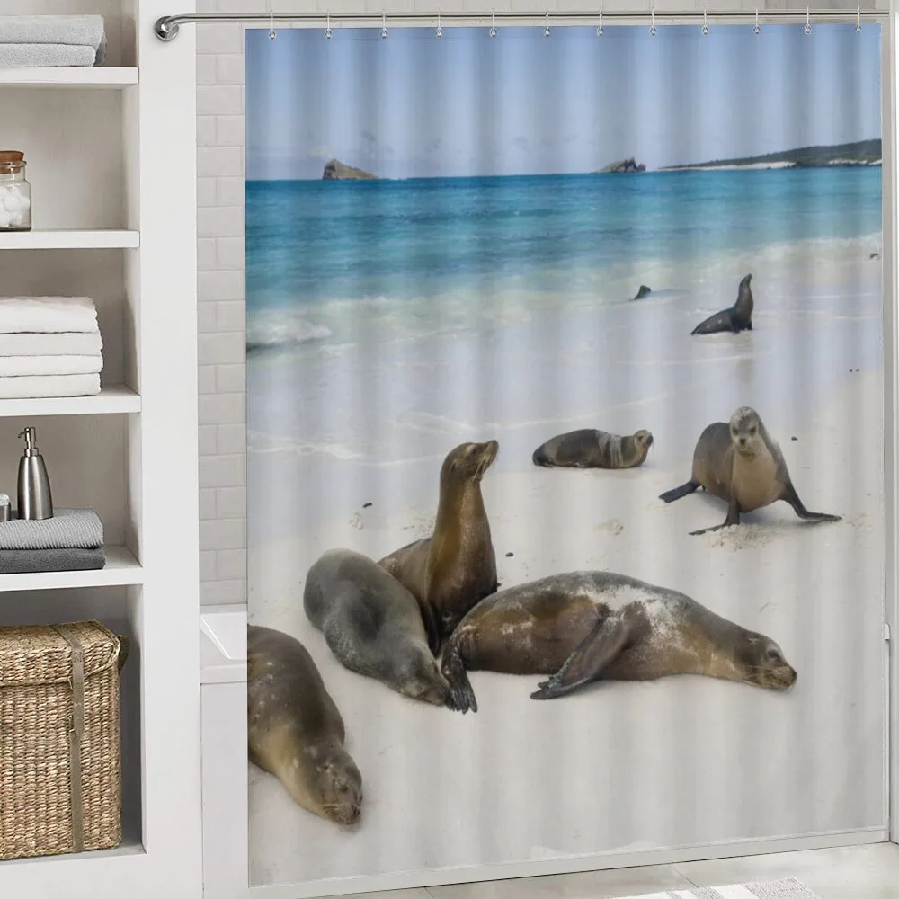 Galapagos Island Sea Lions — Detail 4