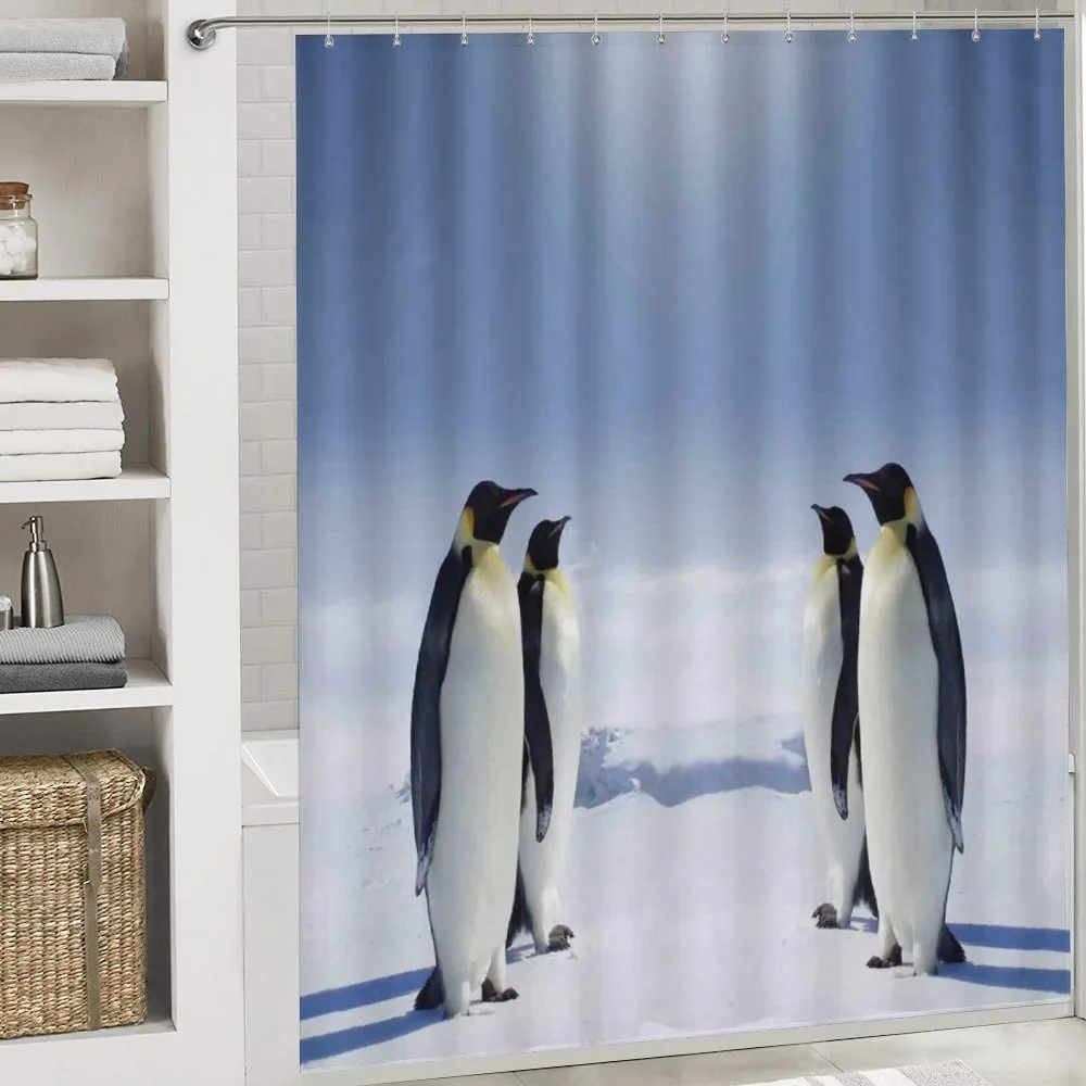 Penguins in Antarctica — Detail 4