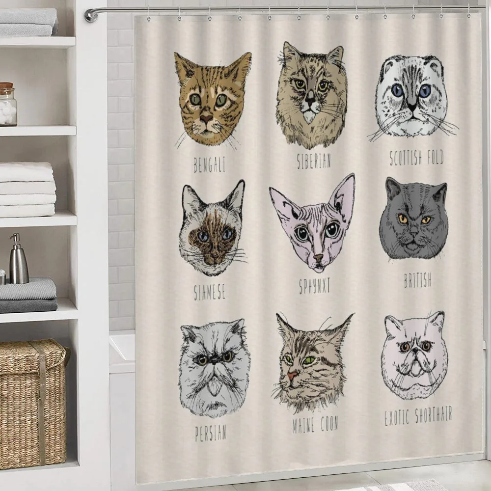 Pet Cat Portraits — Detail 4