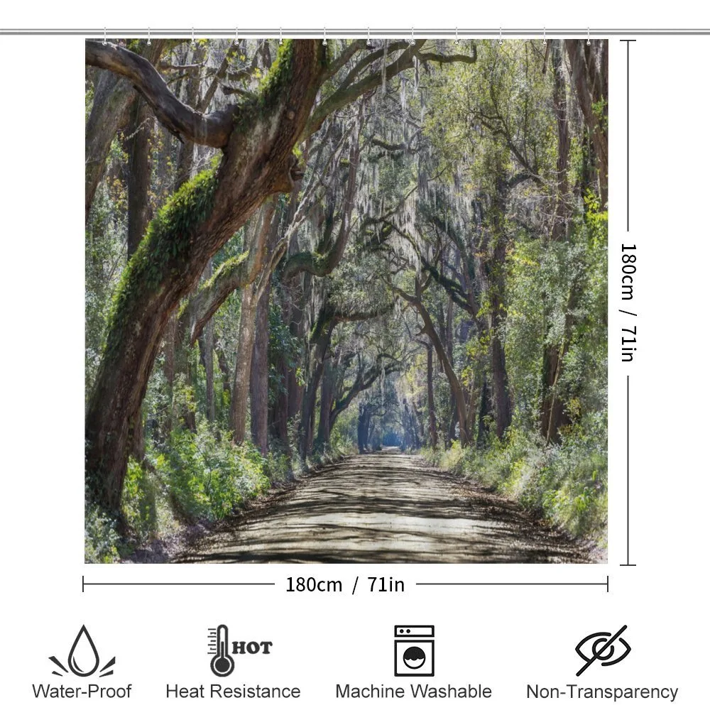 Road in Forest Carolina — Detail 2