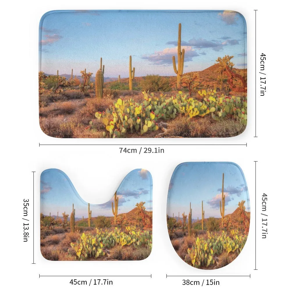Cacti in Sonoran Desert — Detail 1