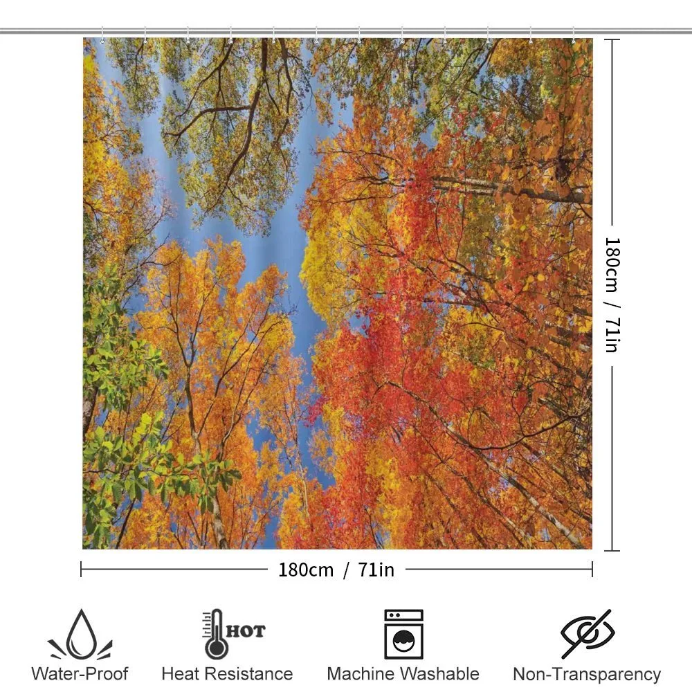 Forest in Autumn — Detail 2