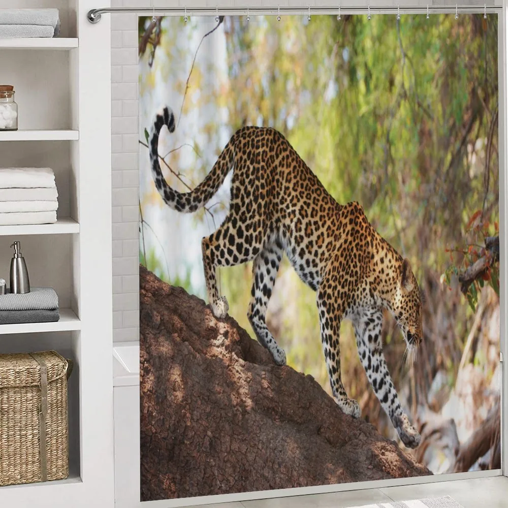 Leopard Tree Nature Reserve — Detail 4