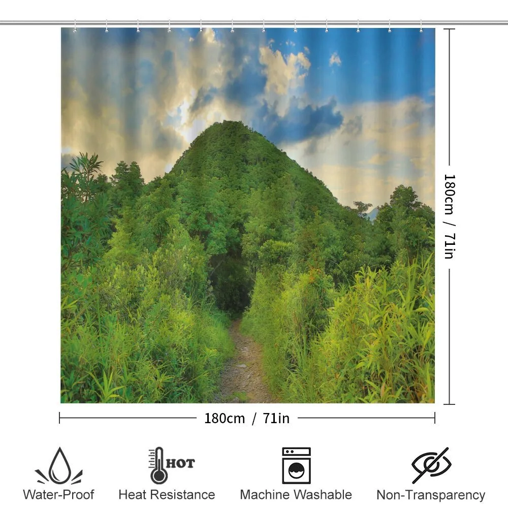 Mountain Path with Trees — Detail 2