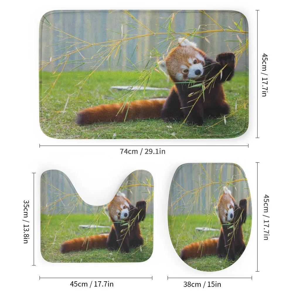 Panda — Detail 1