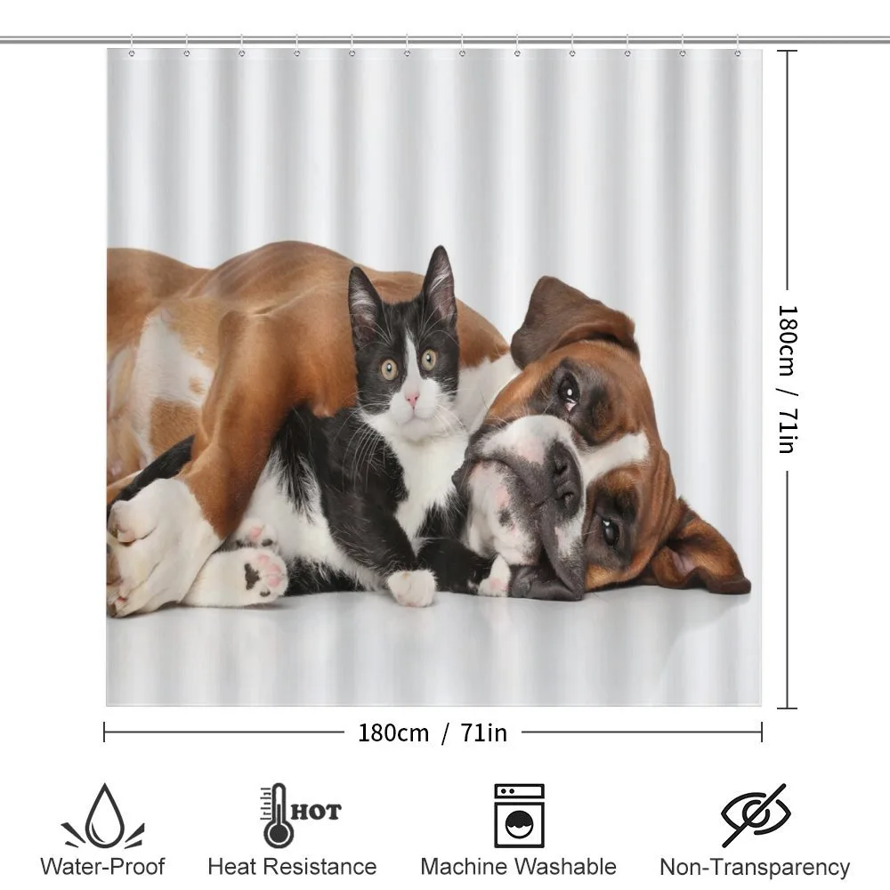 Cat Dog Friendship — Detail 2