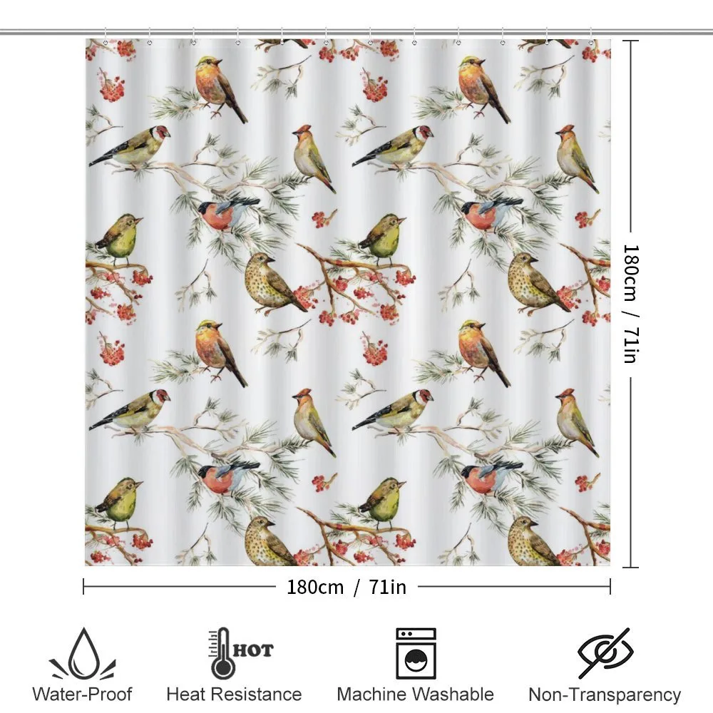 Colorful Forest Birds — Detail 2