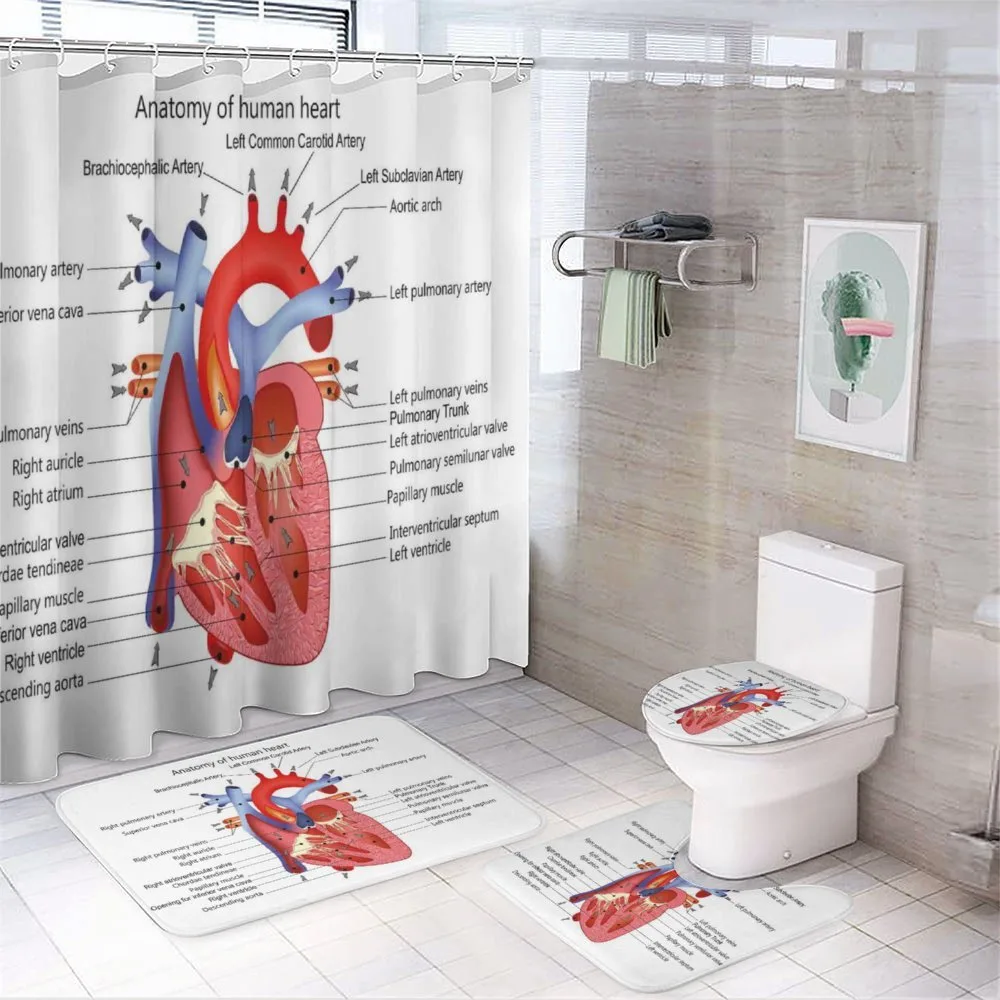 Human Body Organ — Your design