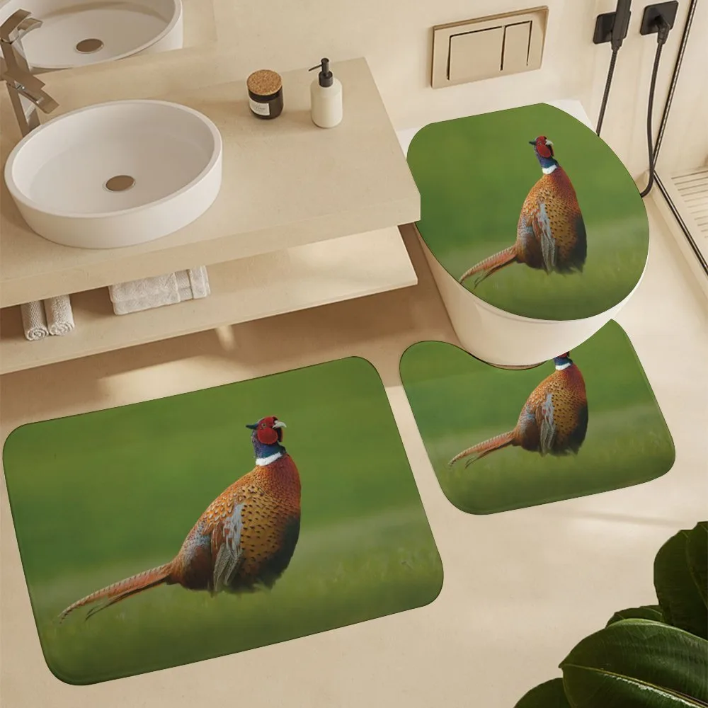 Pheasant Long Tail Meadow — Detail 5