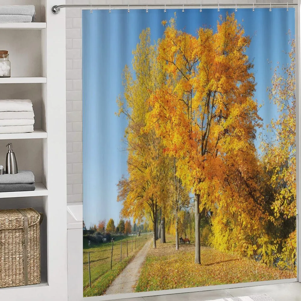 Maple Trees Countryside — Detail 4