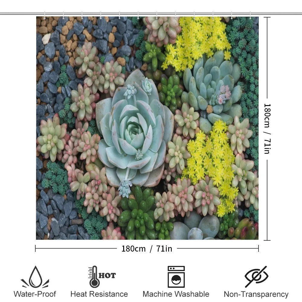 Miniature Plants Stones — Detail 2