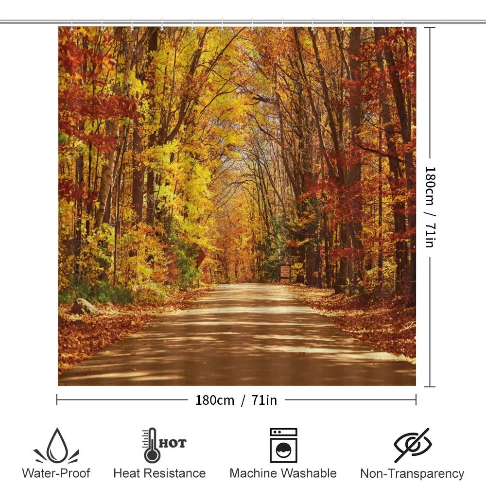 Scenic Outdoors Empty Road — Detail 2