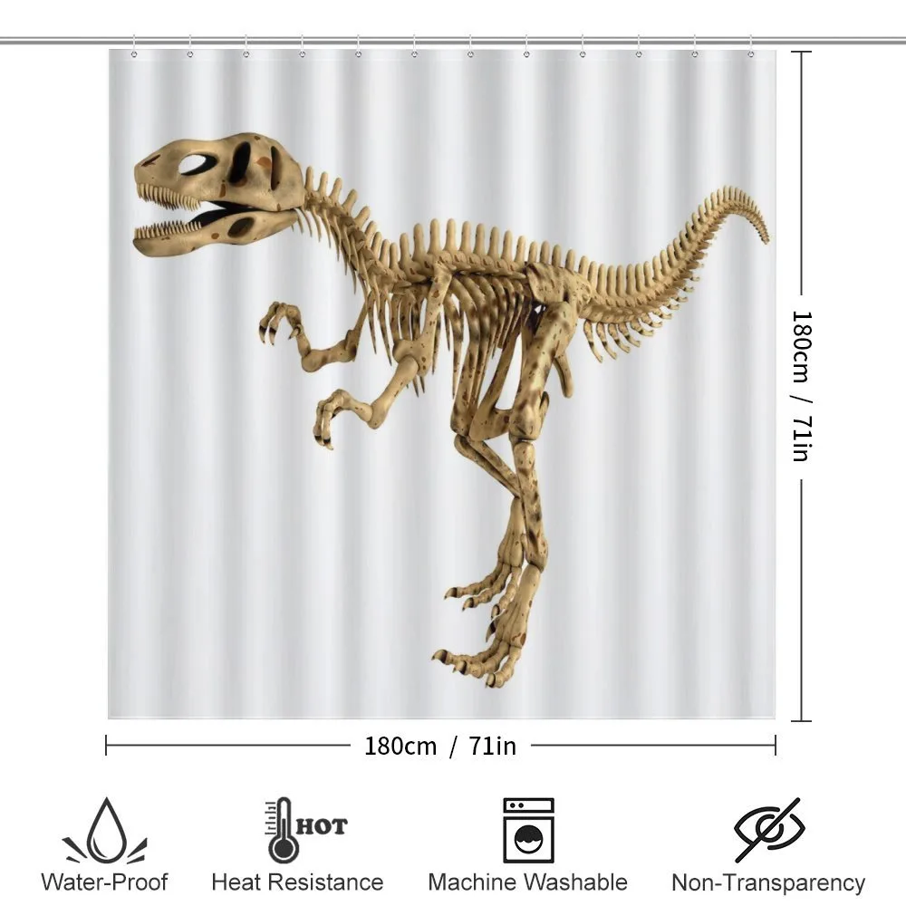 Fossil Dino Skeleton — Detail 2
