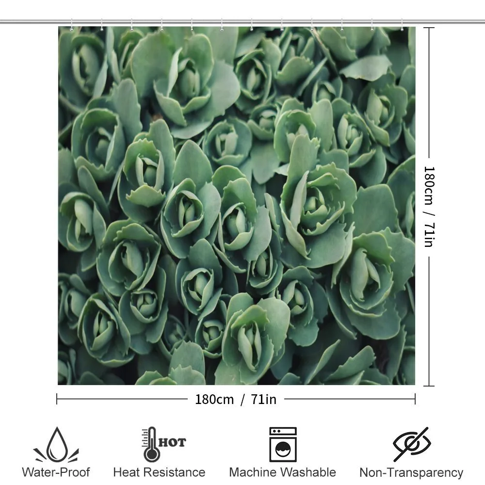 Macro Blooming Leaves — Detail 2