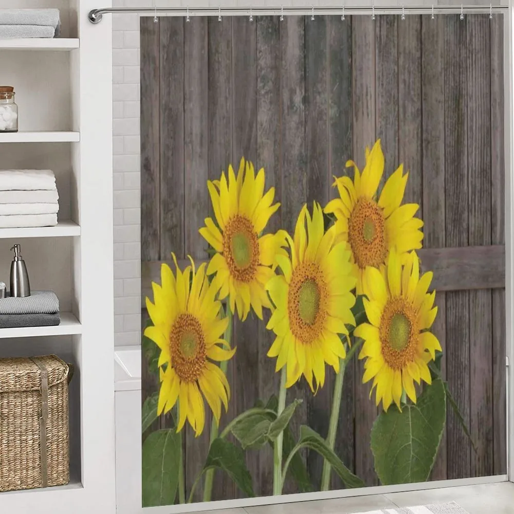 Helianthus Sunflowers — Detail 4