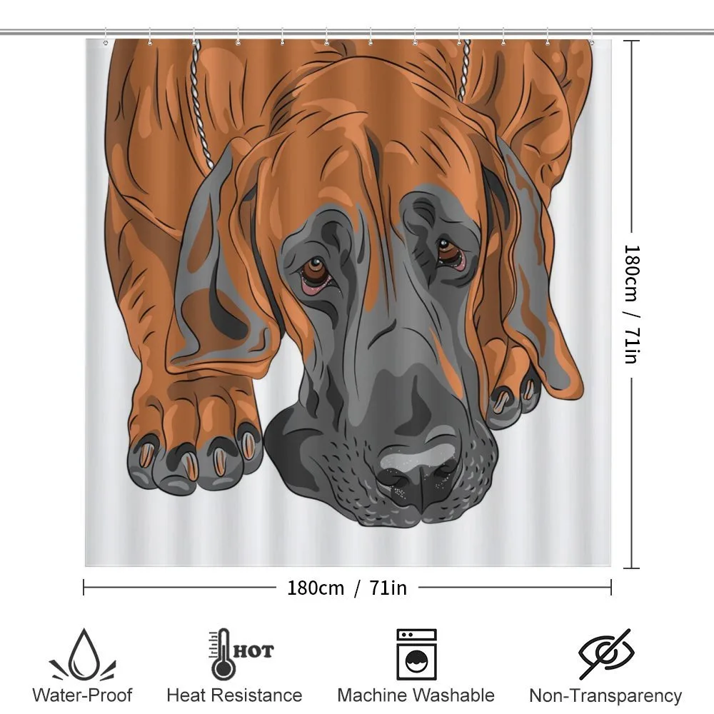 Sad Looking Dog Cartoon — Detail 2
