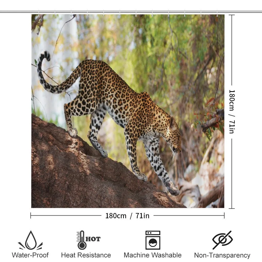Leopard Tree Nature Reserve — Detail 2