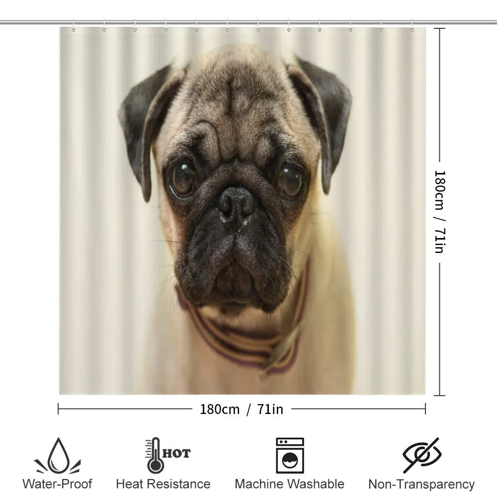 Pure Bred Dog Photograph — Detail 2
