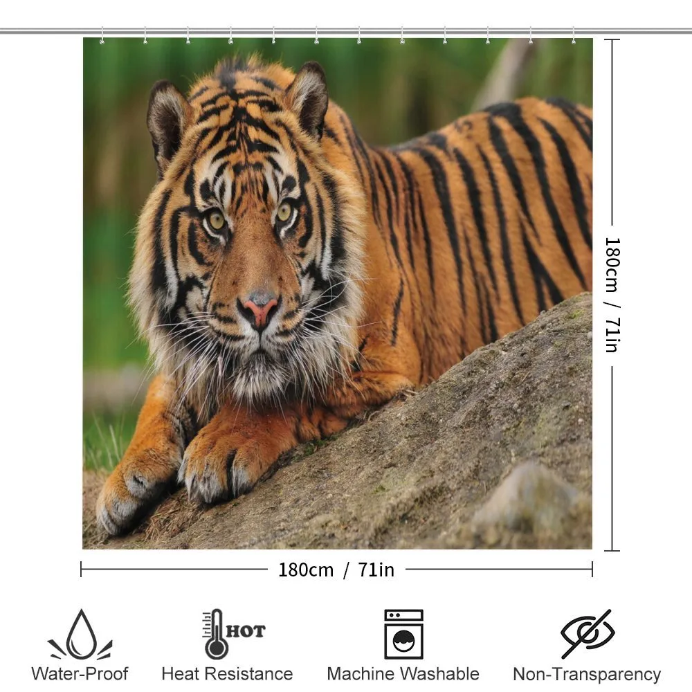 Tiger Crouching on Rock — Detail 2