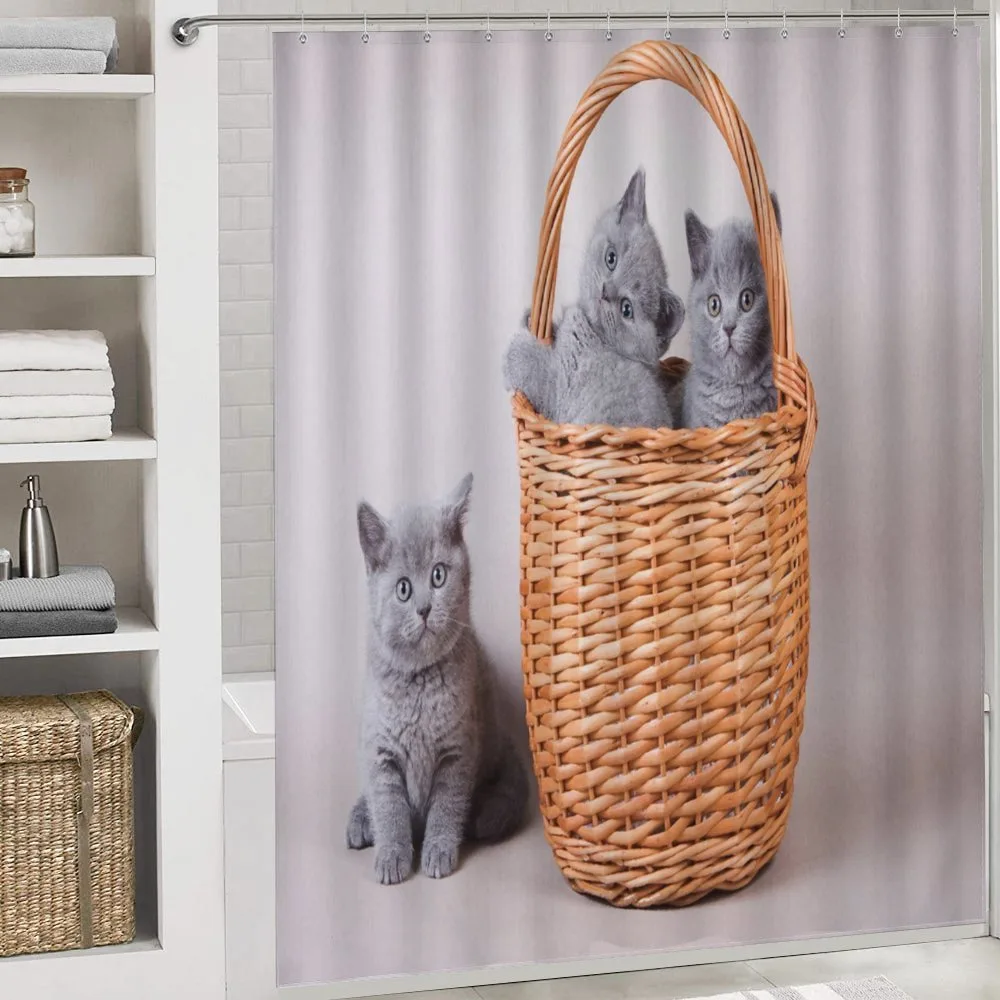 British Cats in Basket — Detail 4