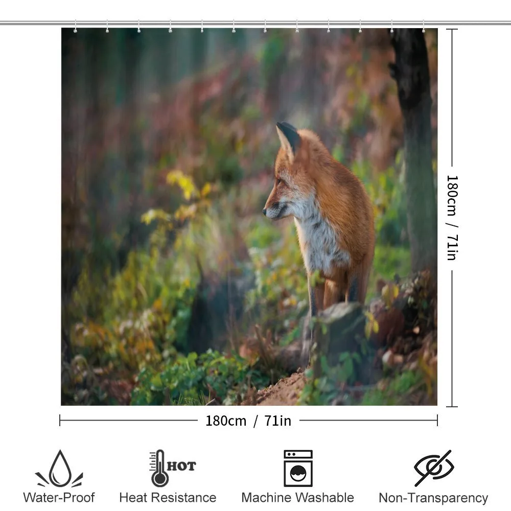 Young Wild Fox in Woodland — Detail 2