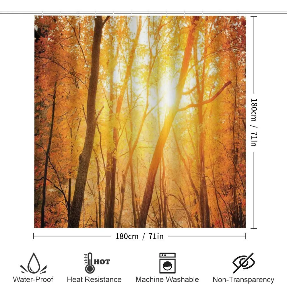 Autumn Forest Branches — Detail 2
