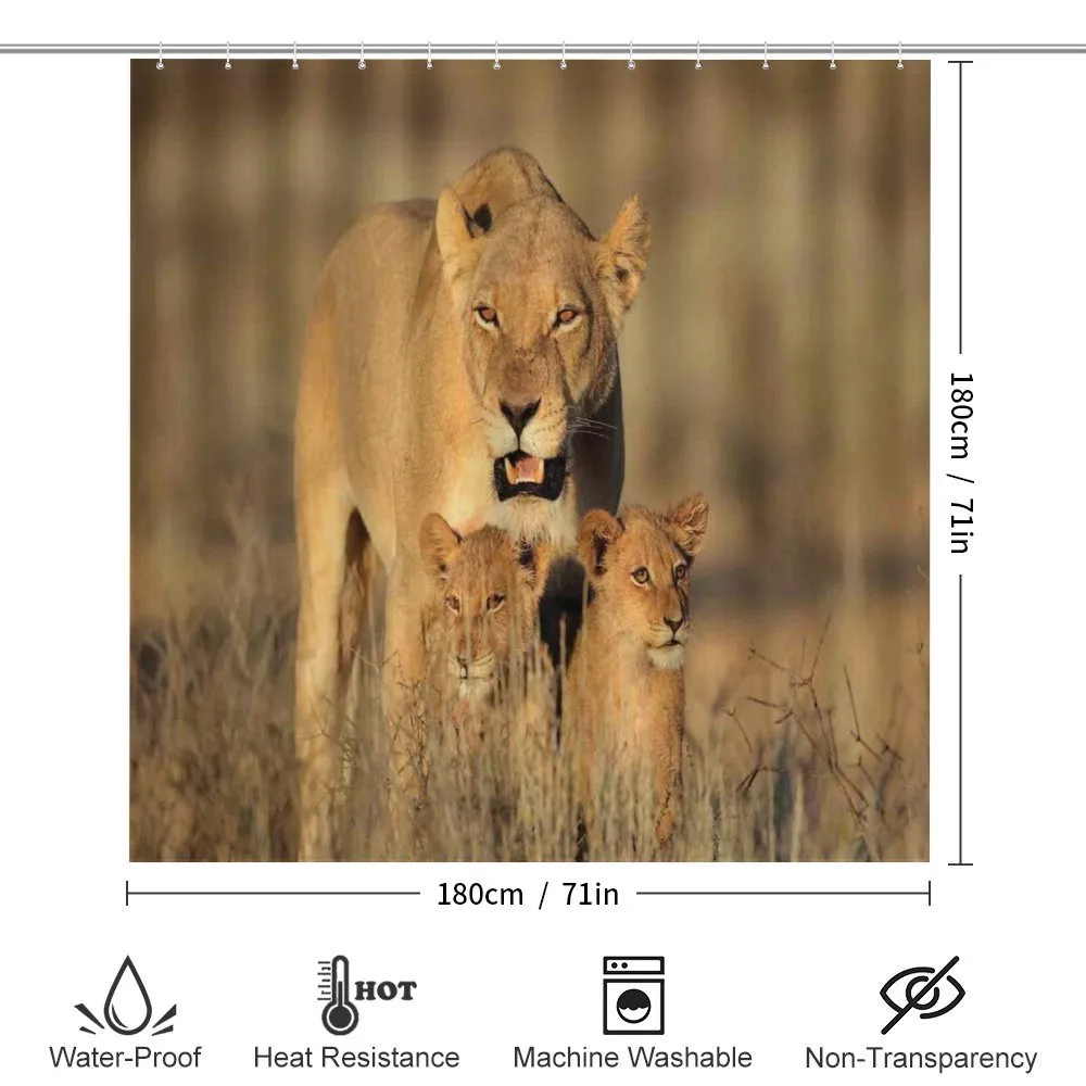 Safari Lions Wilderness — Detail 2