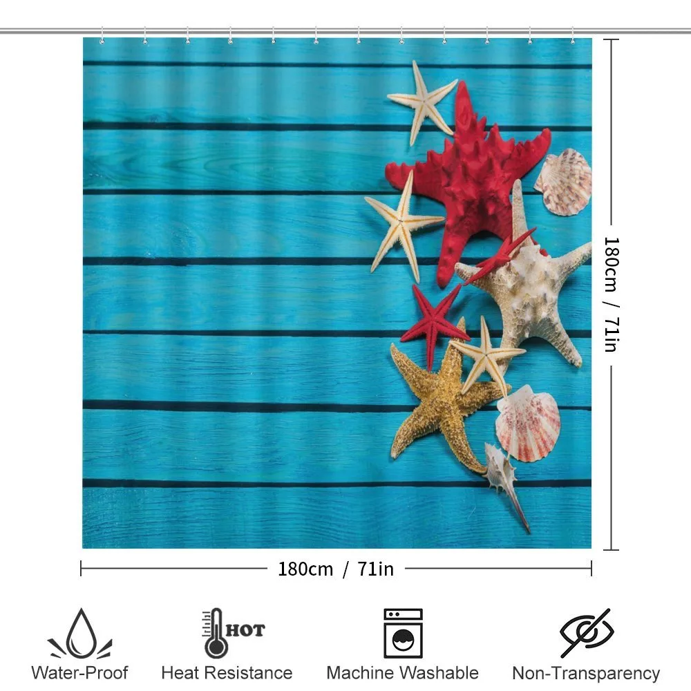 Different Shells — Detail 2