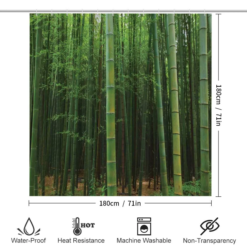 Exotic Bamboo Tree Forest — Detail 2