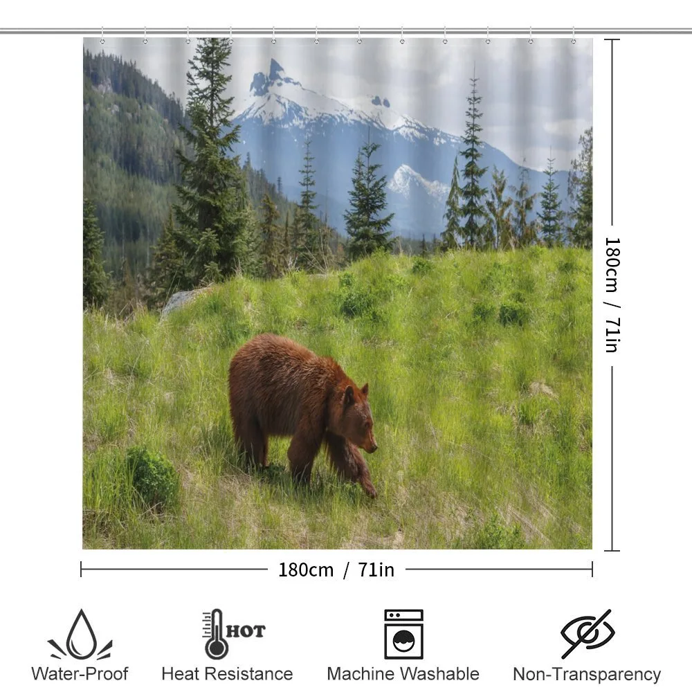 Fur Animal Nature Habitat — Detail 2