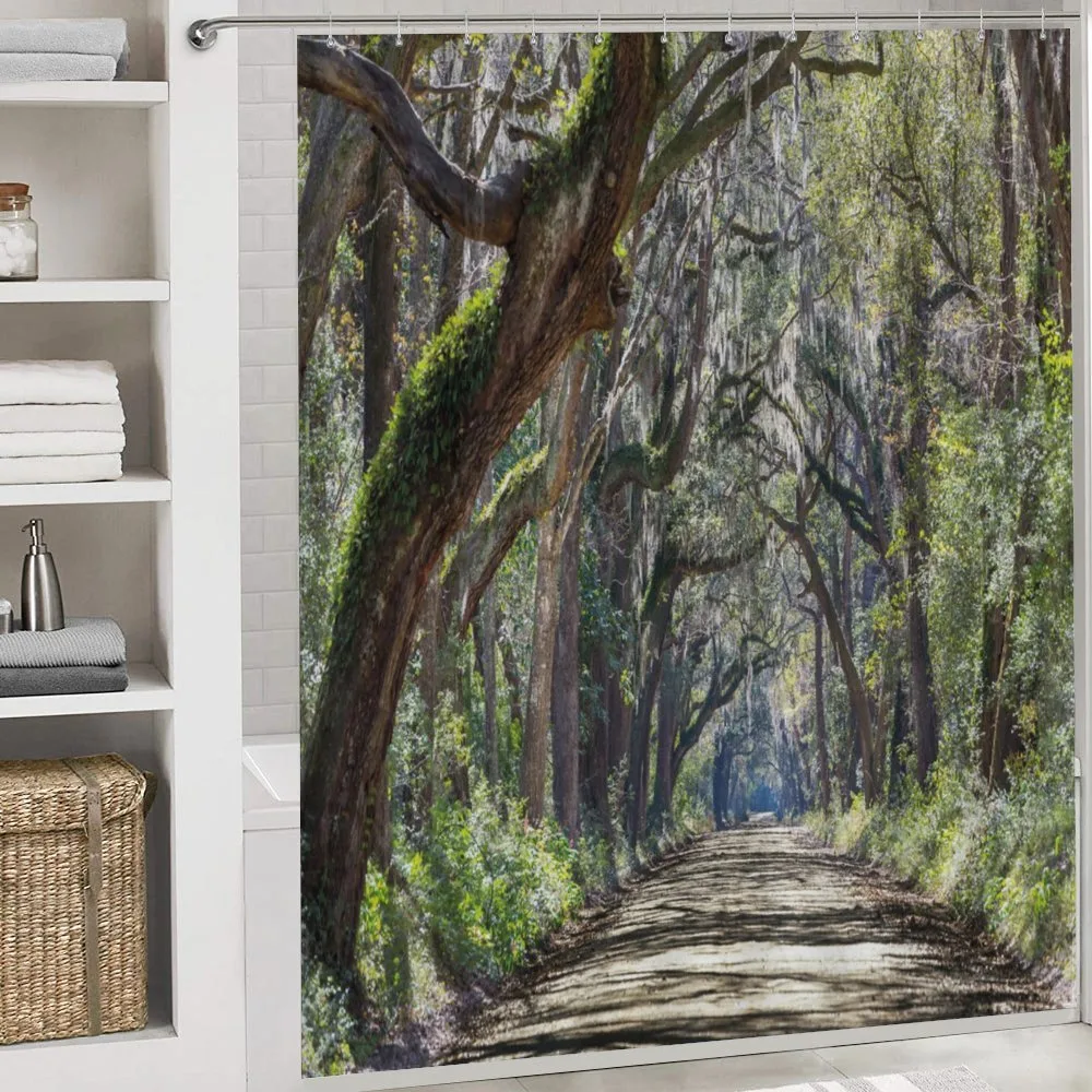Road in Forest Carolina — Detail 4