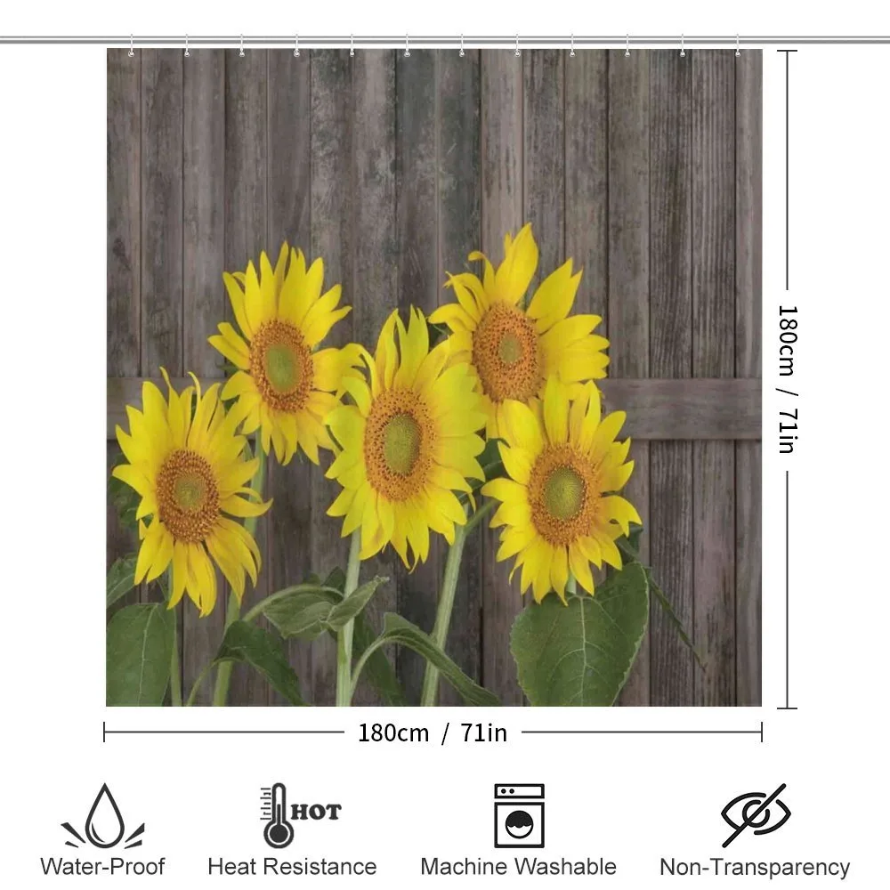 Helianthus Sunflowers — Detail 2