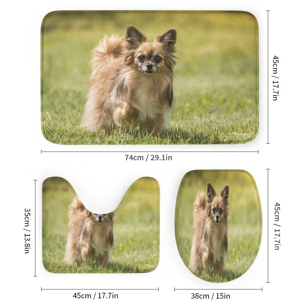 Long Haired Small Dog — Detail 1