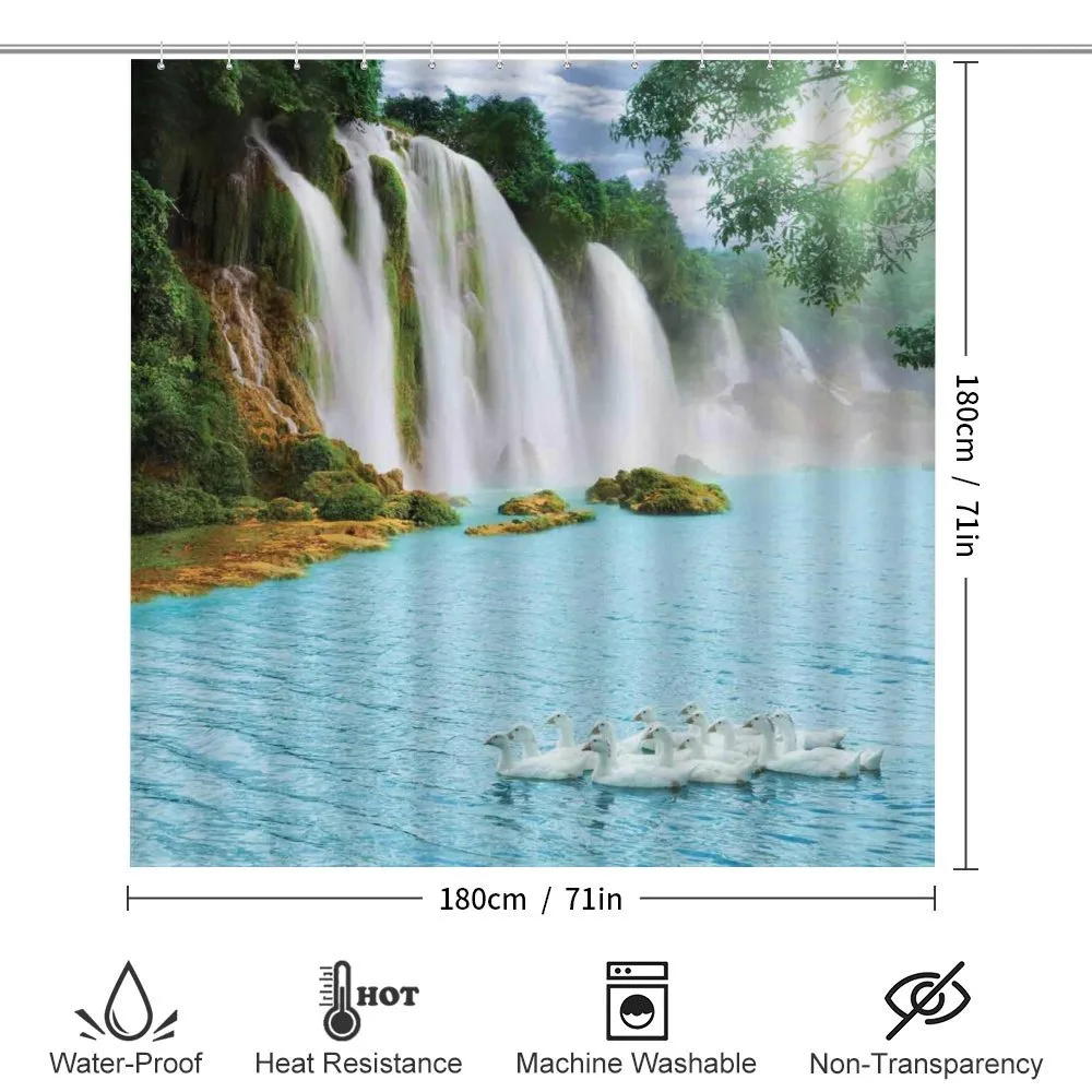 Lake and Swans Nature — Detail 2