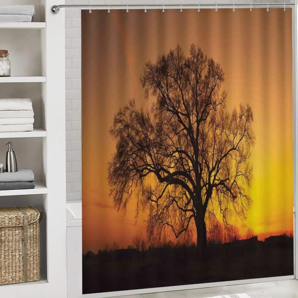 Old Oak at Sunset View — Detail 4