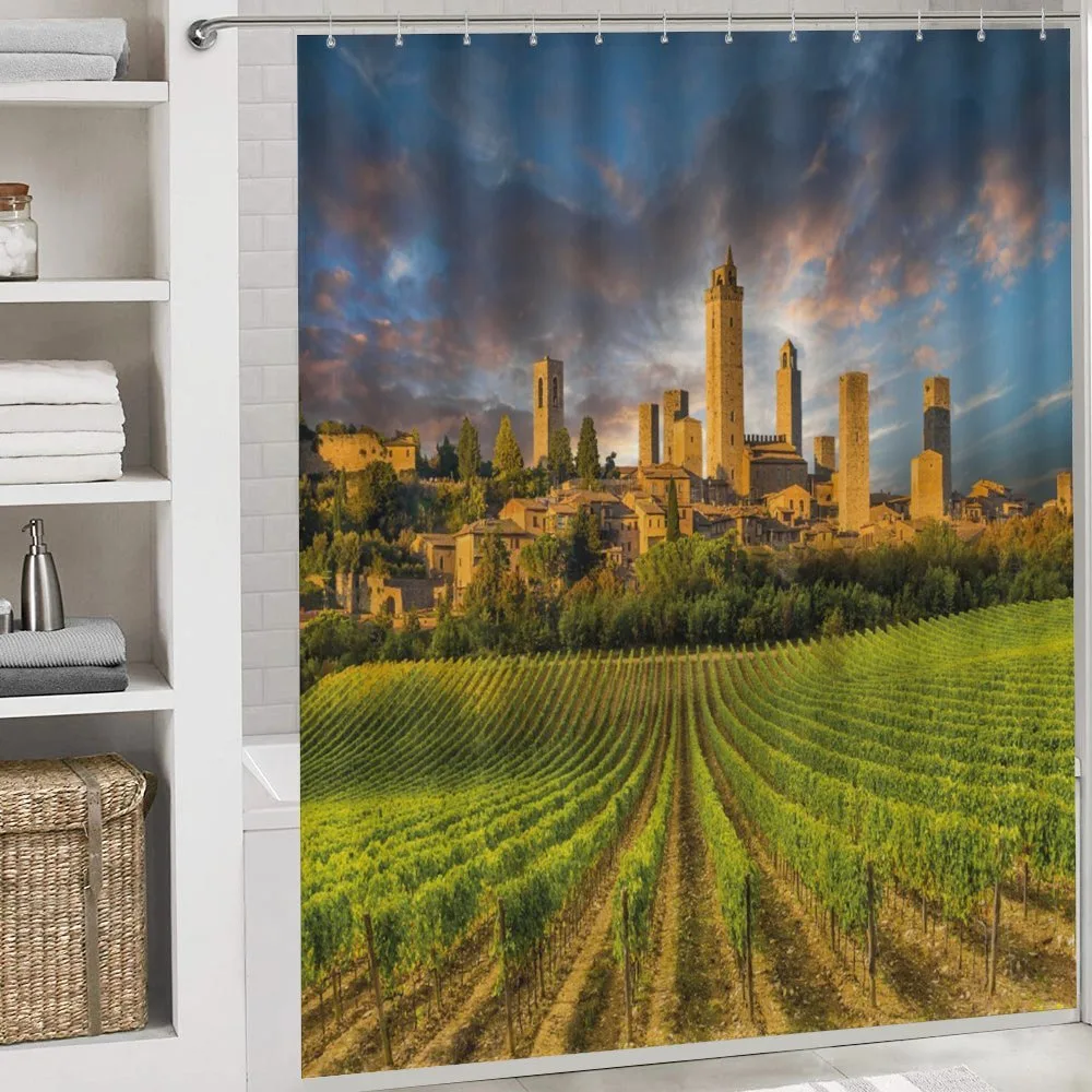 San Gimignano Vineyards — Detail 4