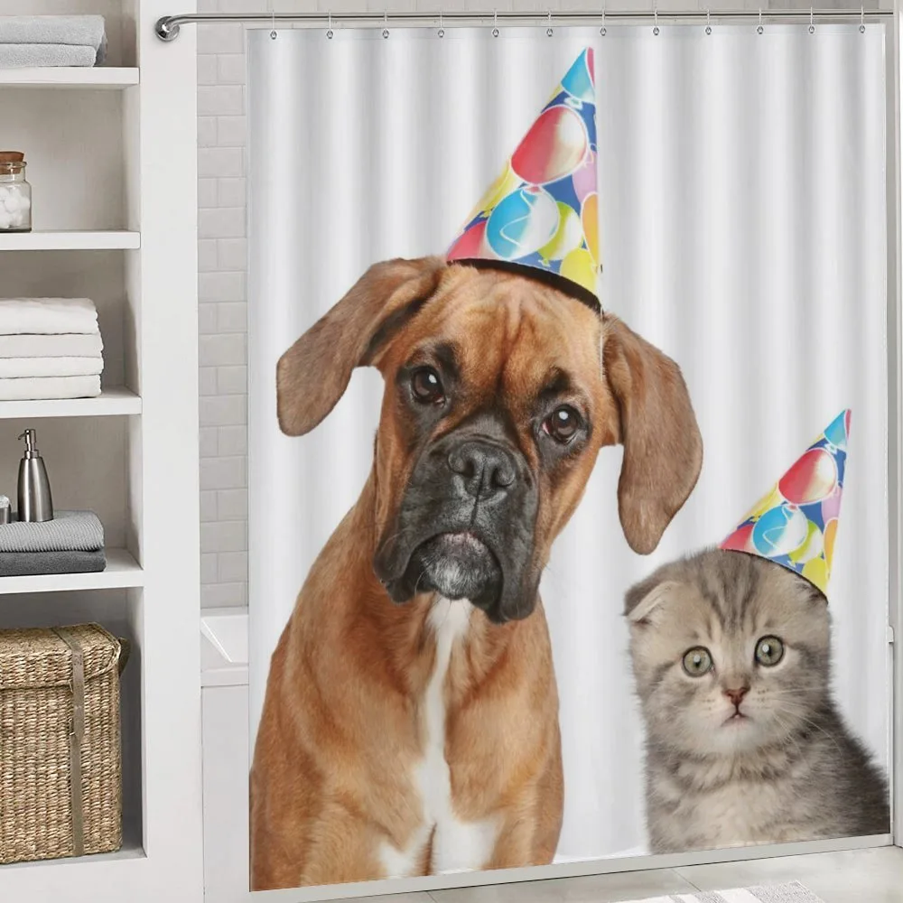 Funny Dog Scottish Cat — Detail 4