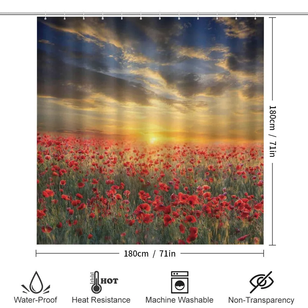 Scenic Field Sunset Sky — Detail 2